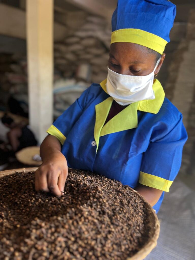 SORTING OF CLOVES